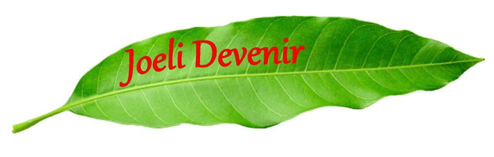 Feuille de manguier logo Joeli Devenir