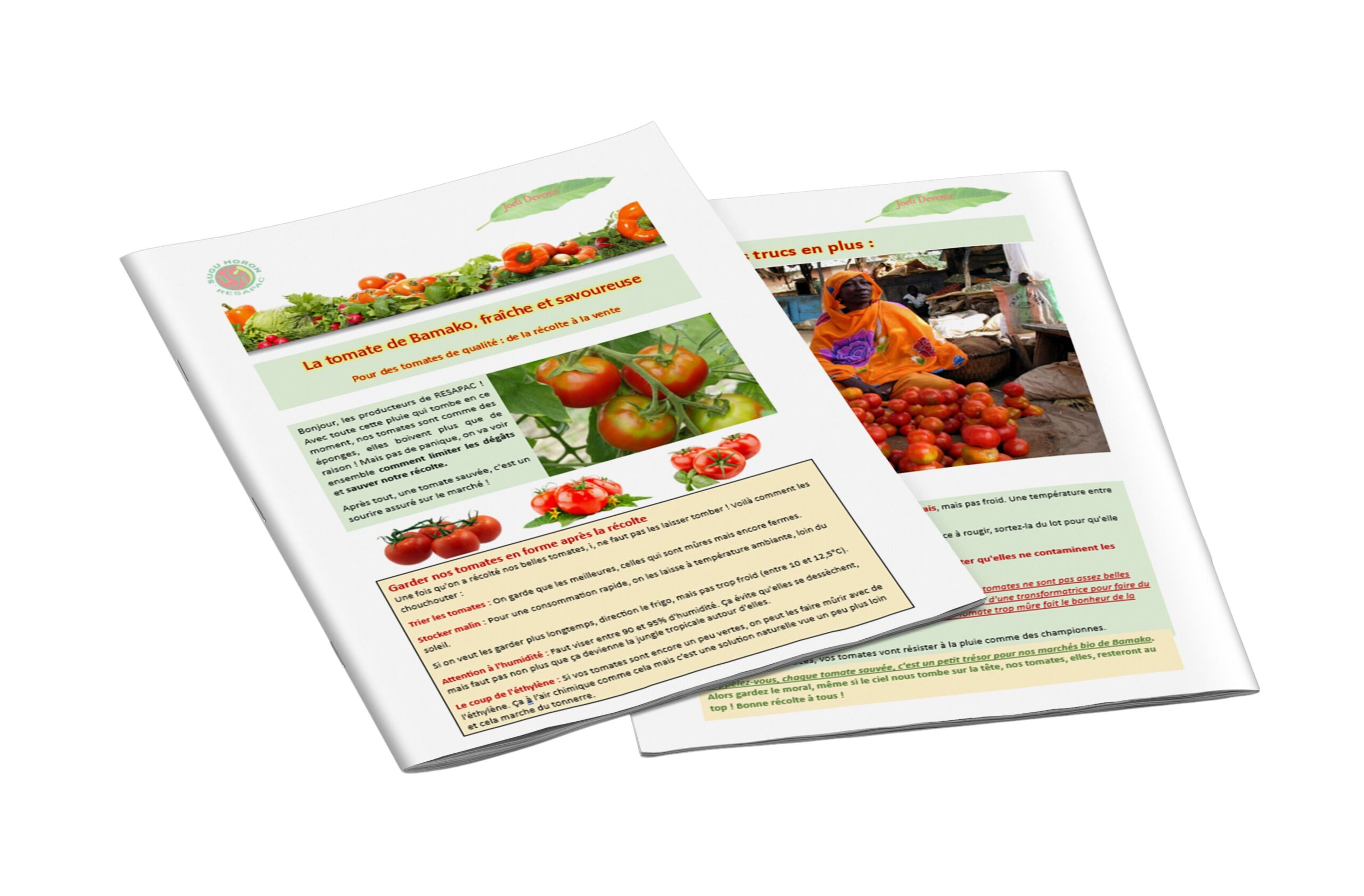 Conservation de la tomate-fiche technique