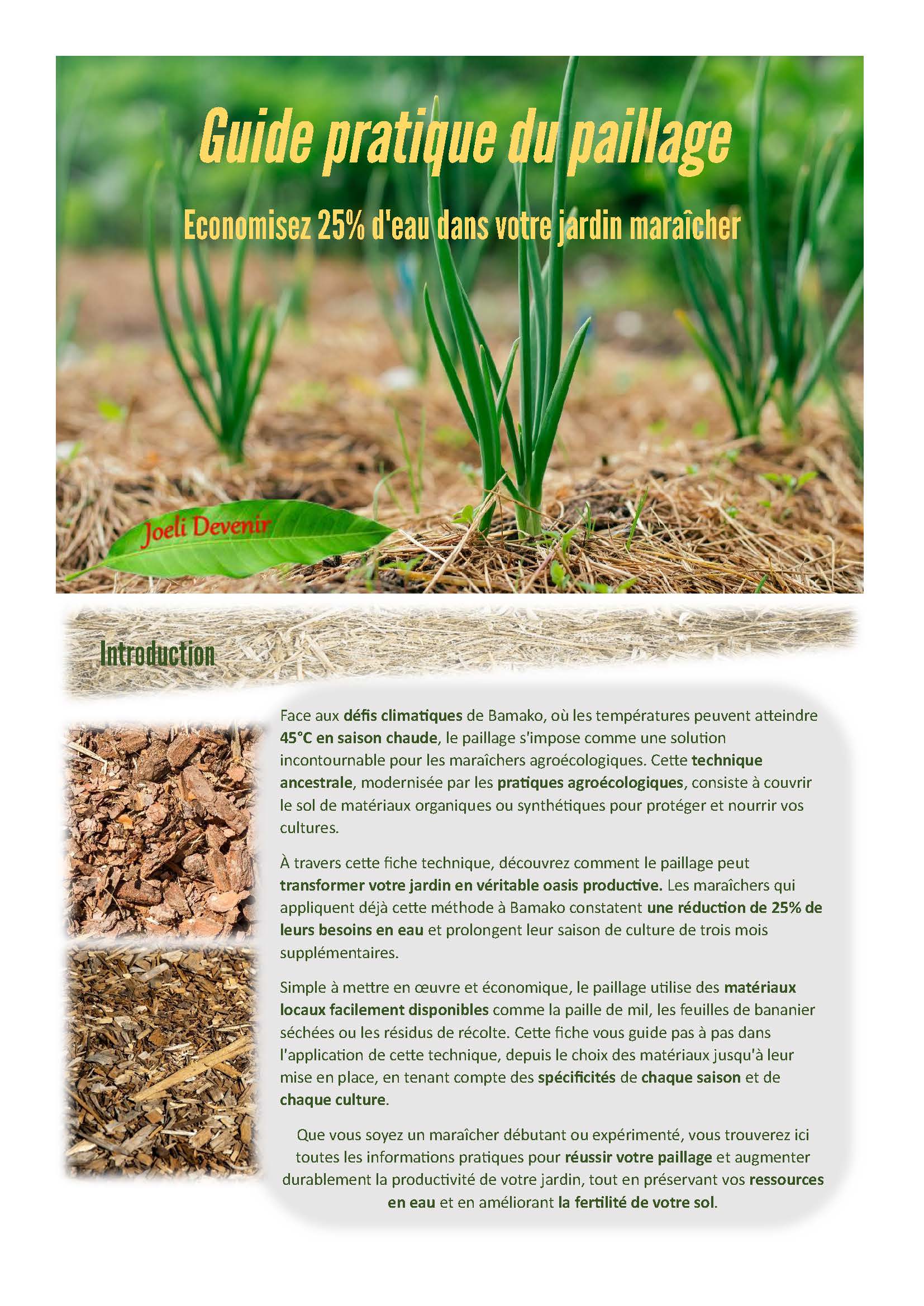 Guide pratique du paillage – Image 6
