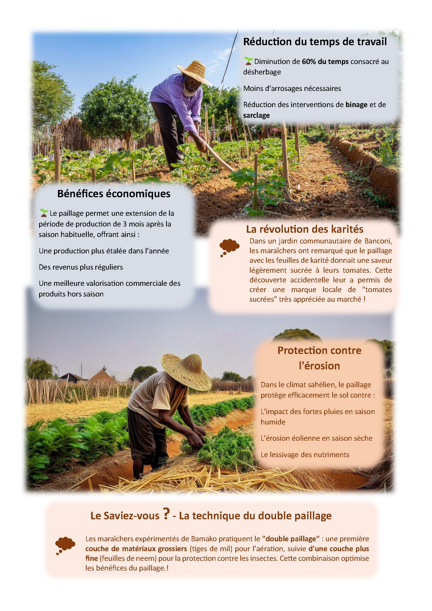 Guide pratique du paillage – Image 5