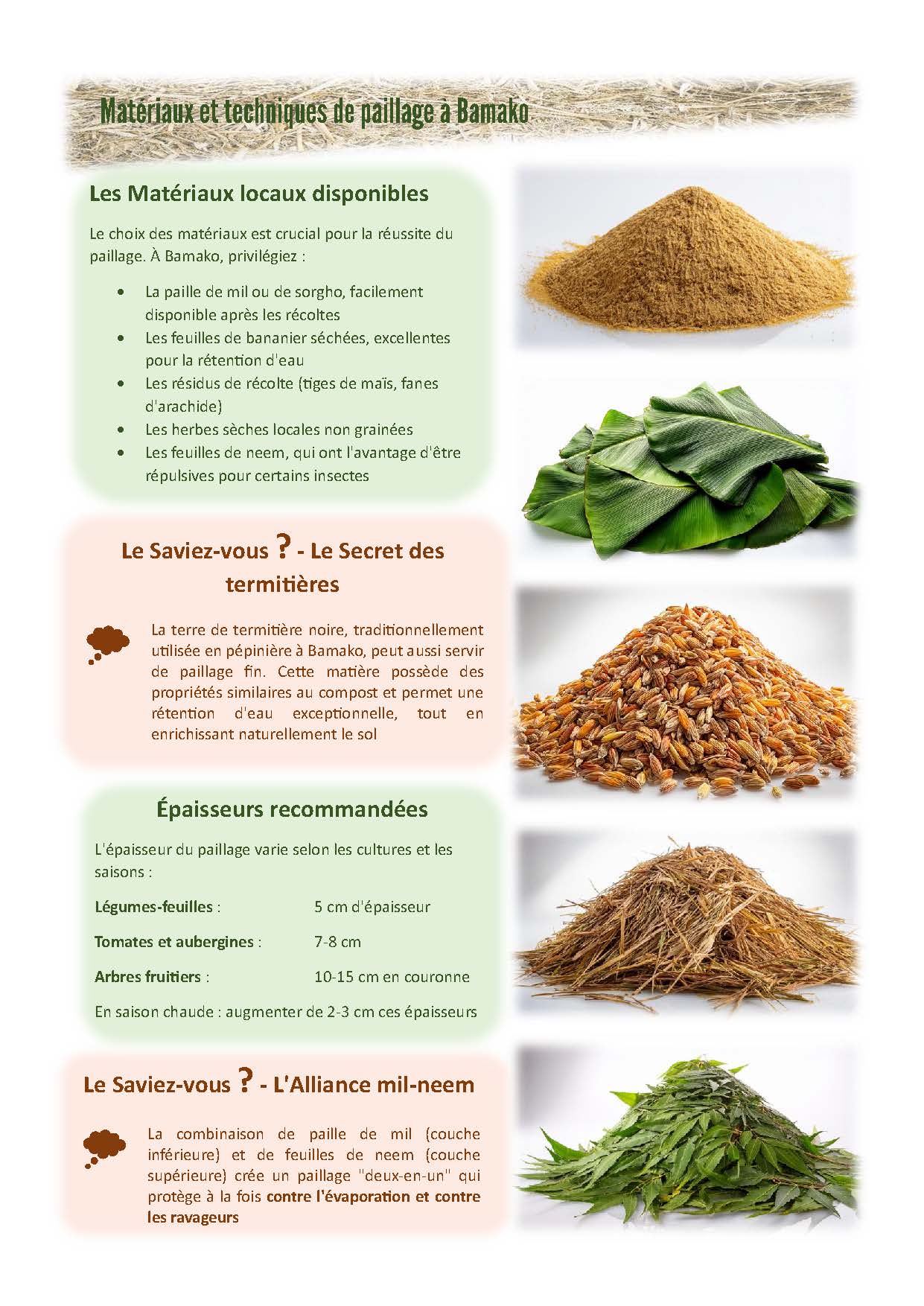 Guide pratique du paillage – Image 4