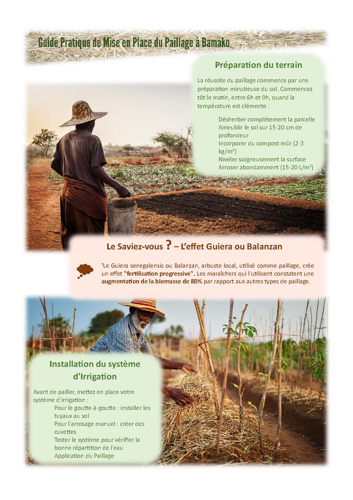 Guide pratique du paillage – Image 3