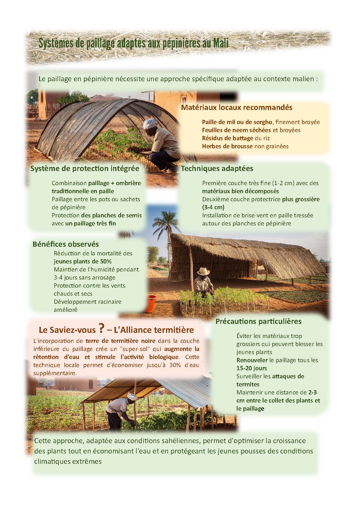 Guide pratique du paillage – Image 2