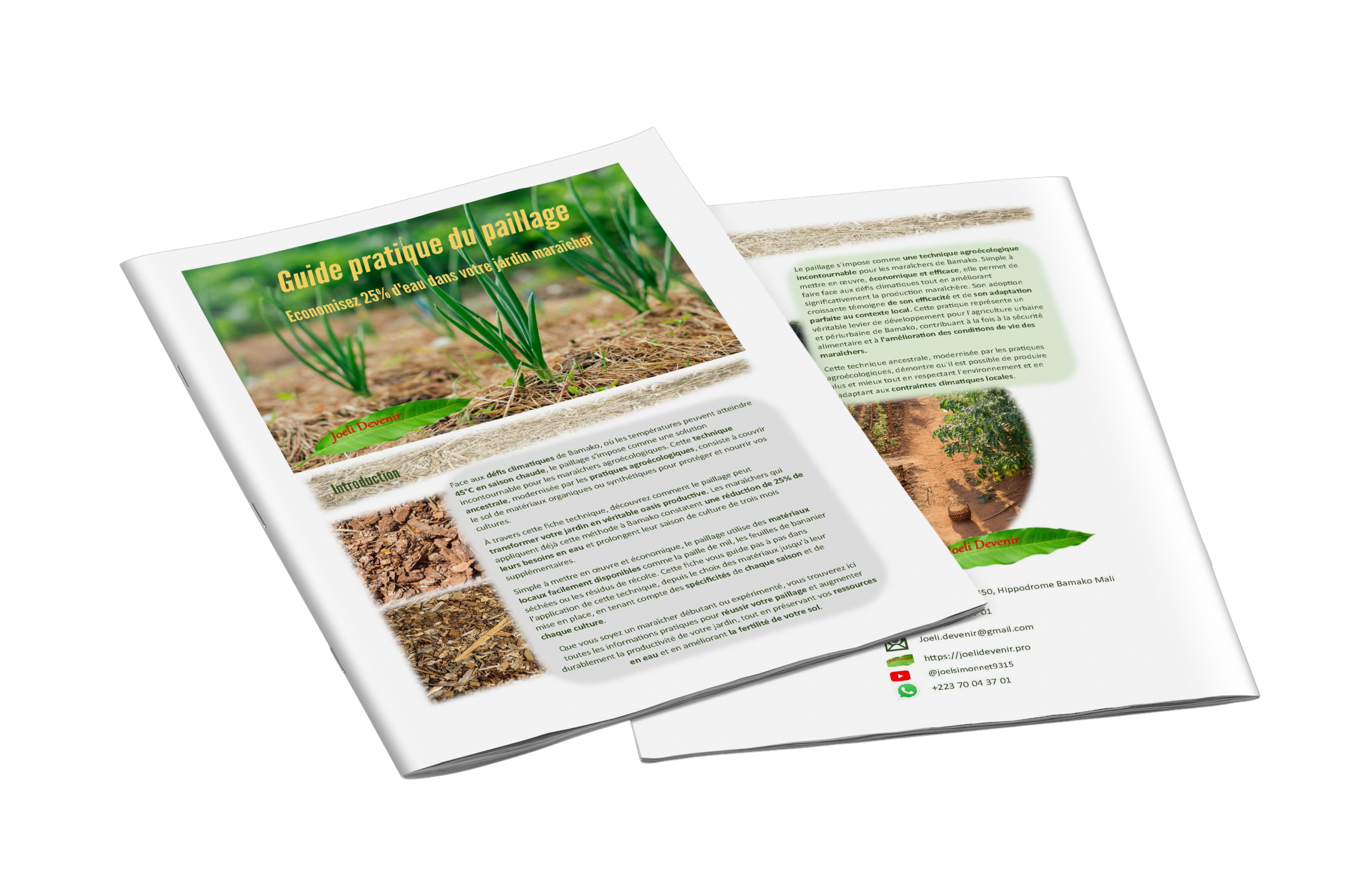 Guide pratique du paillage