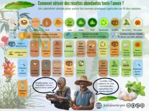 Calendrier agricole mensuel pour le Mali : bonnes pratiques (semis, désherbage, buttage, paillage, rotation) selon les trois saisons sahéliennes.
