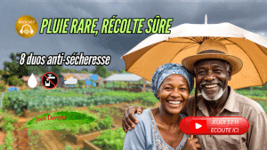 Vignette Youtube pluie rare récolte sure
