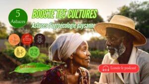 Vignette YouTube podcast agroécologie paysanne